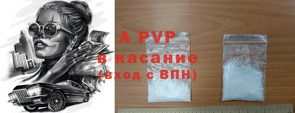прущие грибы Белокуриха