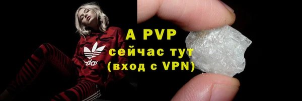 прущие грибы Белокуриха