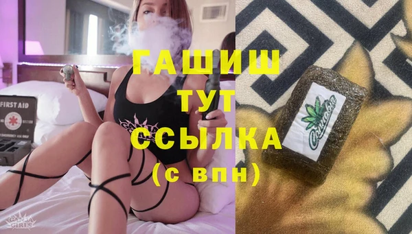 прущие грибы Белокуриха