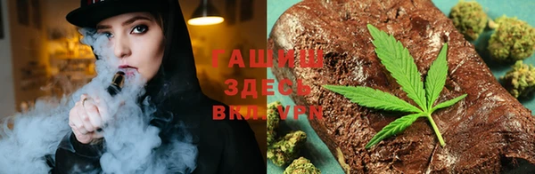 прущие грибы Белокуриха