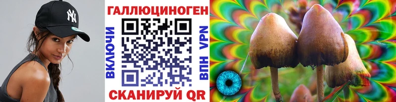 Псилоцибиновые грибы Psilocybine cubensis  наркошоп  OMG ССЫЛКА  Борзя 
